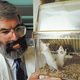 White examines detested specimens in his Oxford lab.